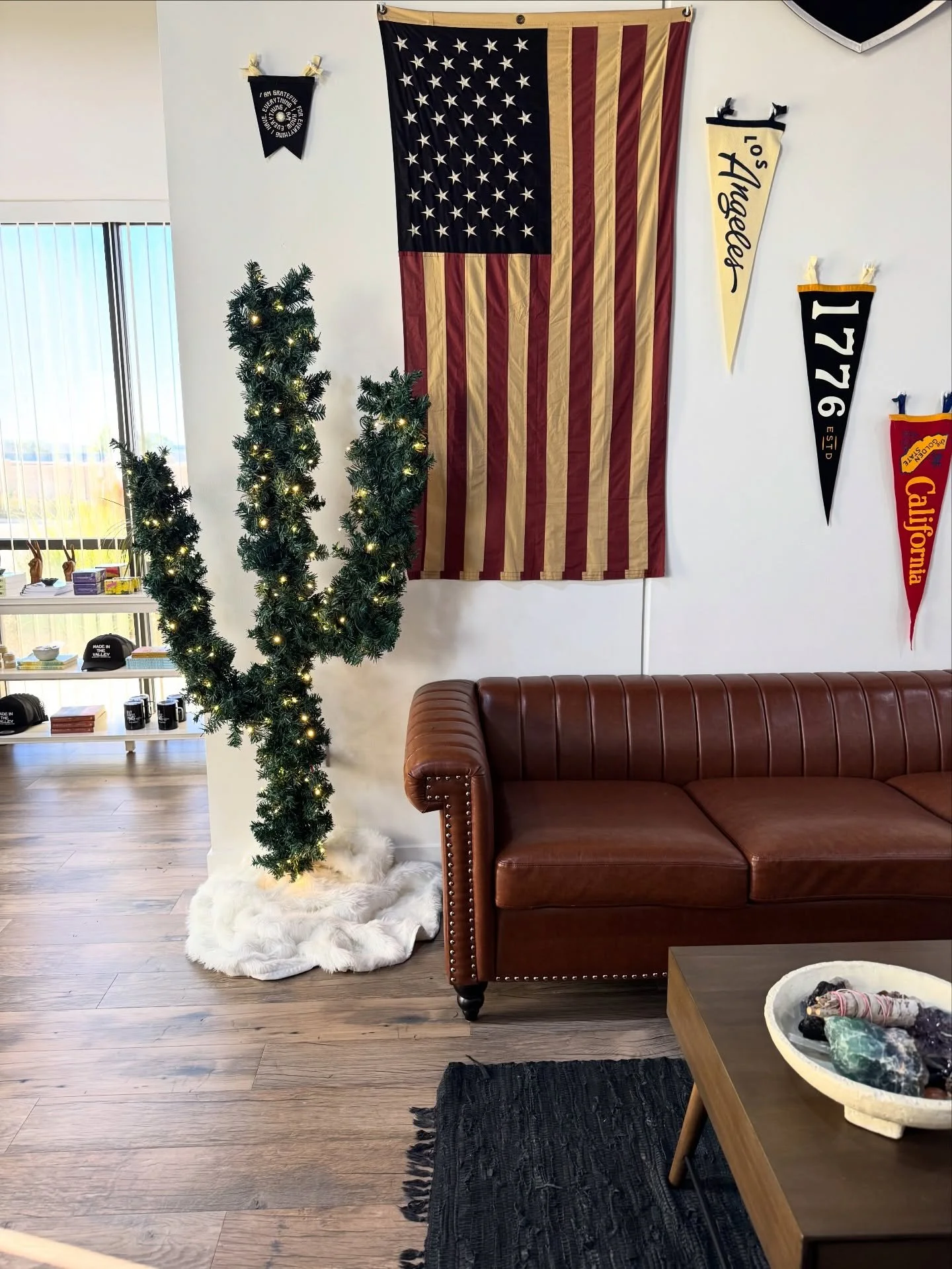 A California Christmas 🎄 🌵