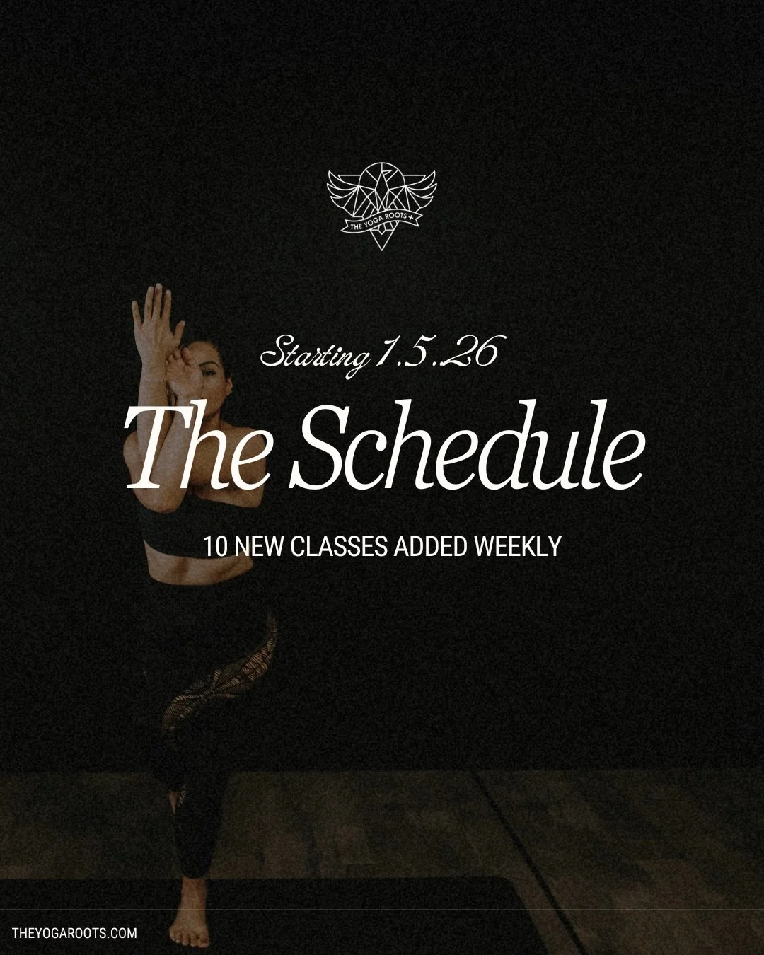 More movement. More options. More room to show up.

We just added 10 new classes weekly to the schedule + 1 weekly Kids Class 🖤 starting January 5!

See you on the mat.

Newbies: 14 days unlimited classes for $40!