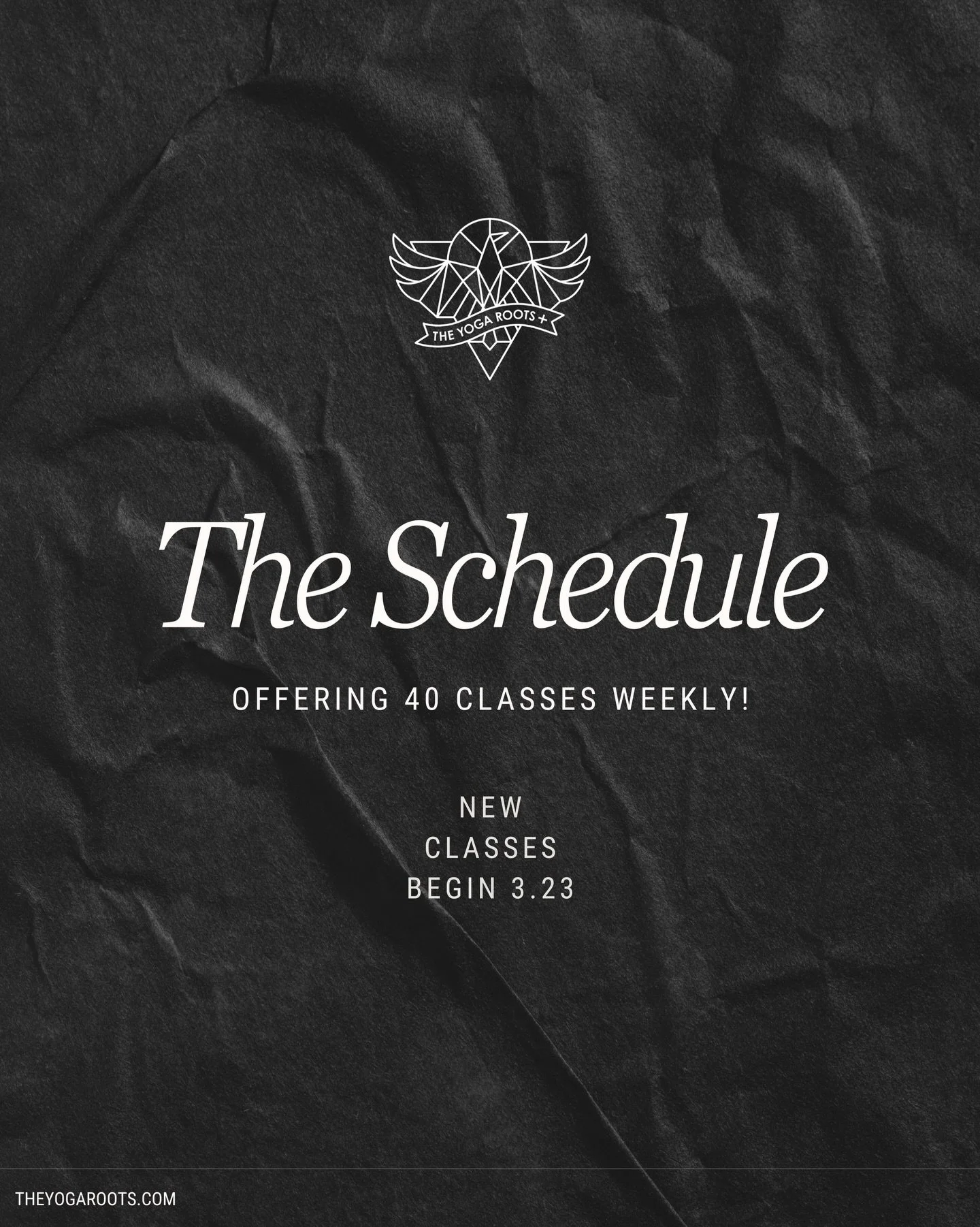 More movement. More options. More room to show up.
Now offering 40 classes weekly!!! 🔥

We just added 3 new classes weekly to the schedule! See you at 6a and 8a early birds! 😮&zwj;💨
And a Kids Class on Saturdays 

See you on the mat.

Newbies: 14 