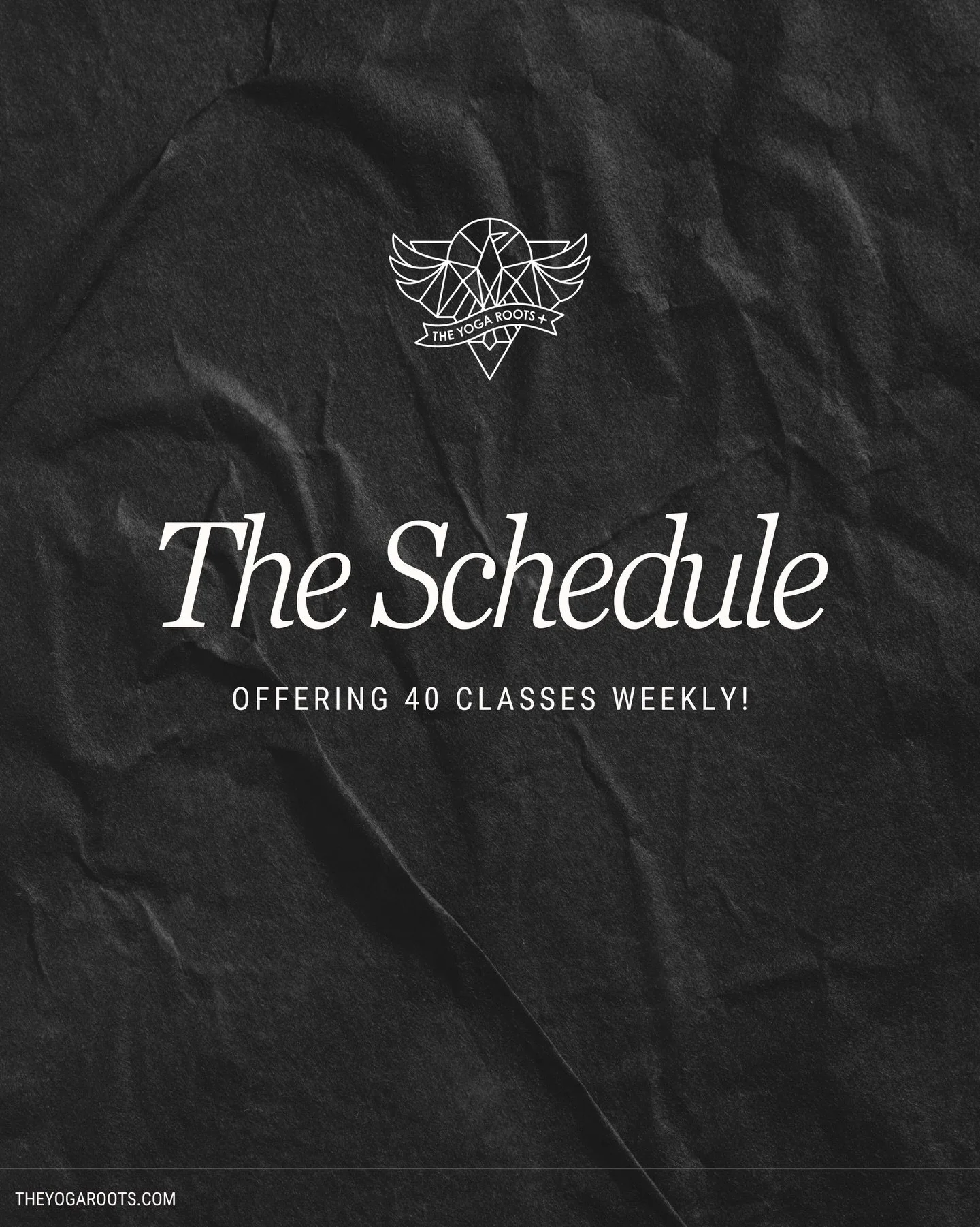 More movement. More options. More room to show up.
Now offering 40 classes weekly!!! 😮&zwj;💨 
Kids &amp; Baby classes, heated &amp; not. Slow &amp; Power. We&rsquo;ve got something for everyone!
And see you at 6a and 8a early birds!

See you on the