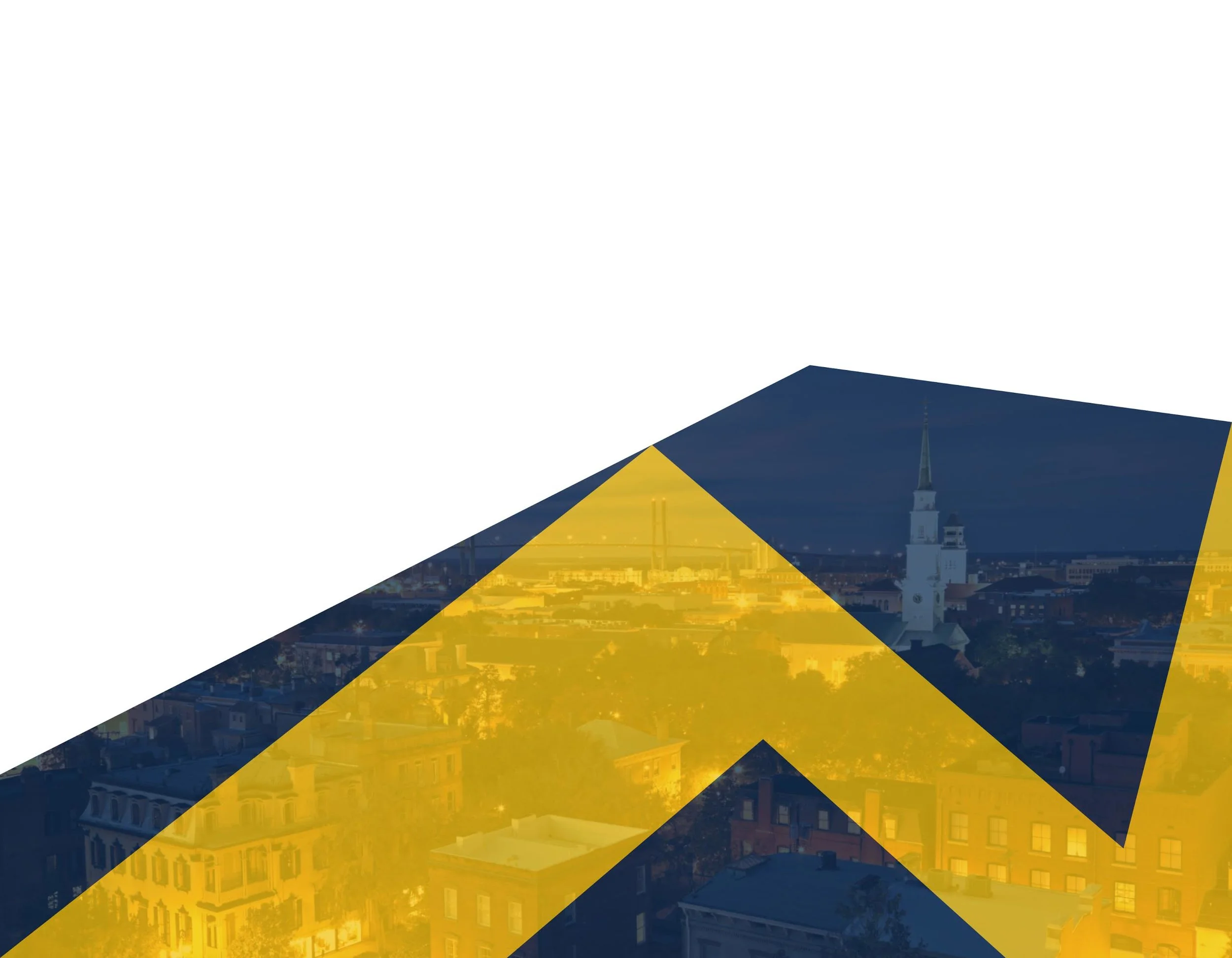 Marketing Background Savannah.jpg