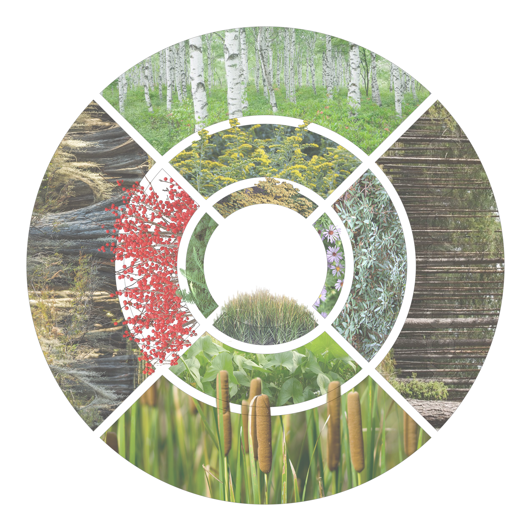 Plant Palette.png