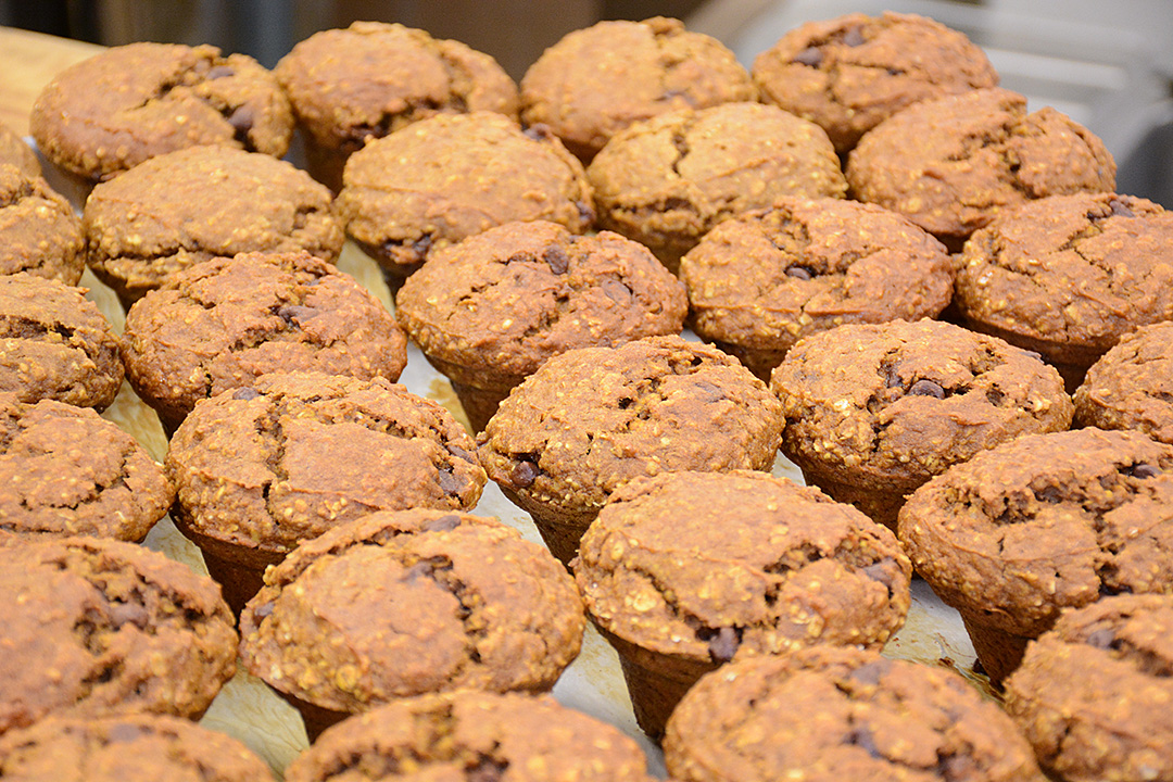 Gluten Free Muffins