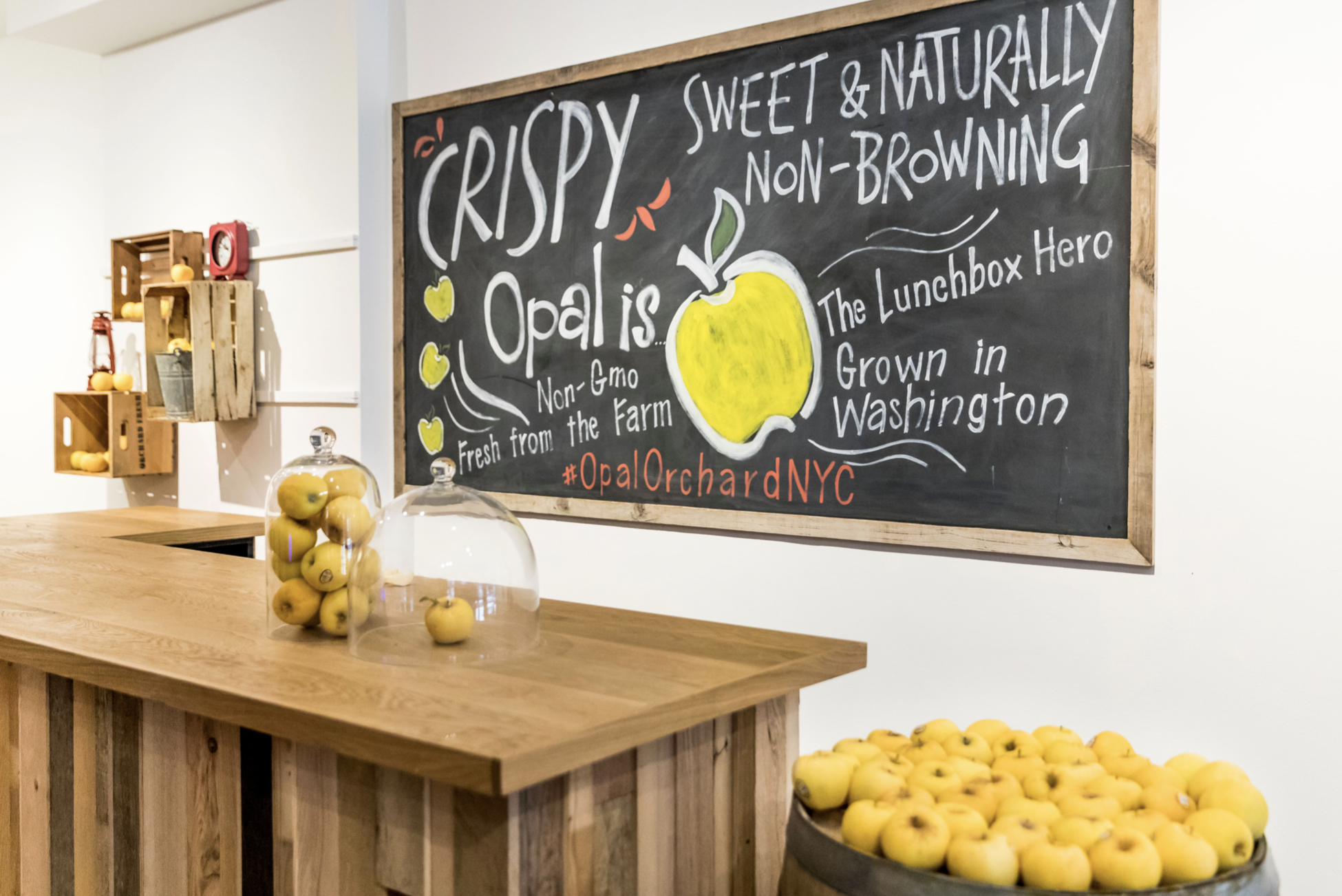 Screen Shot 2019-08-27 at 2.29.24 PM.png