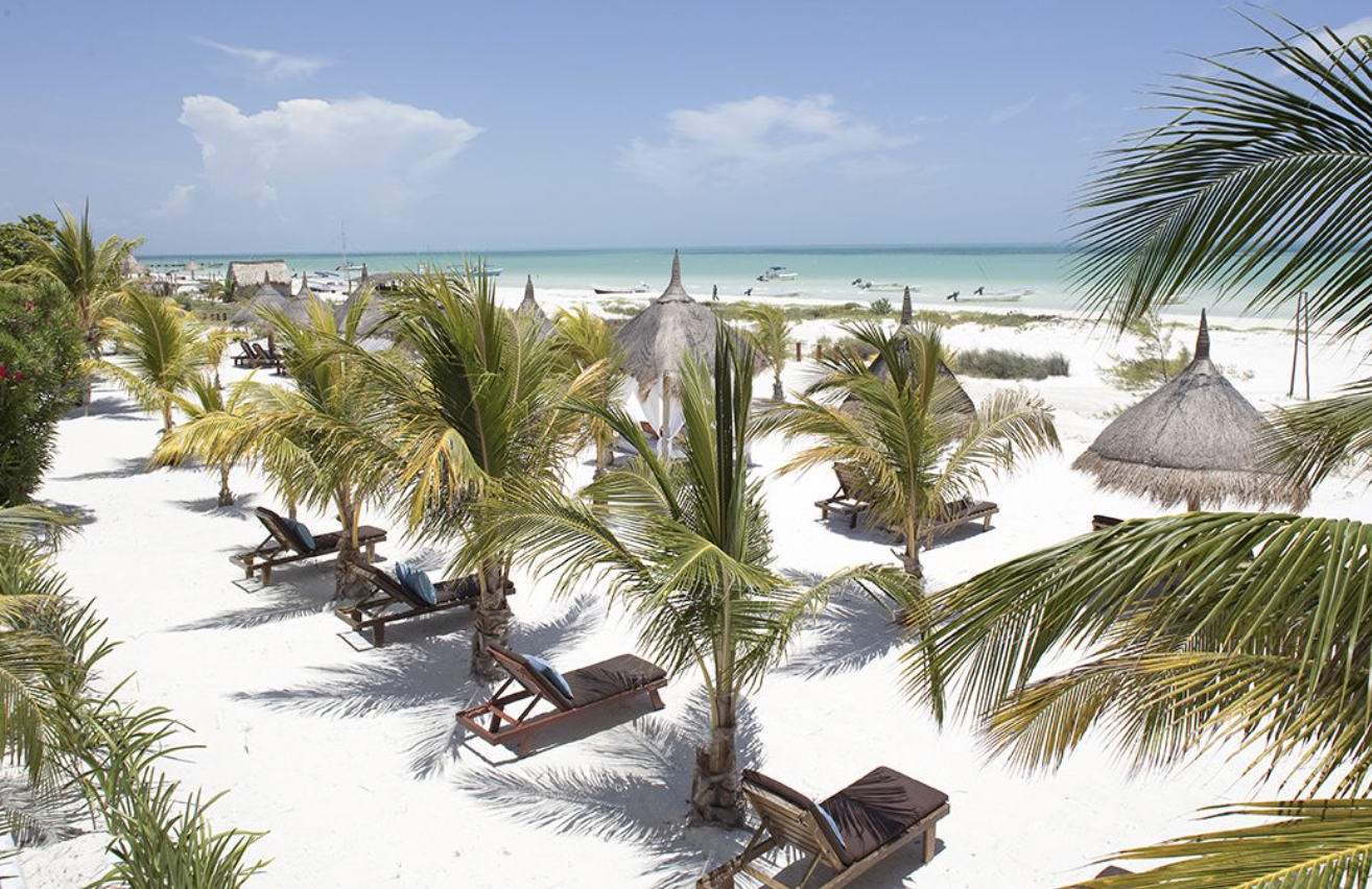 Screen Shot 2019-12-18 at 3.40.34 PM.png