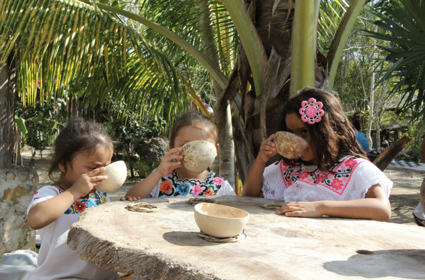 Screen Shot 2019-12-18 at 3.52.55 PM.png