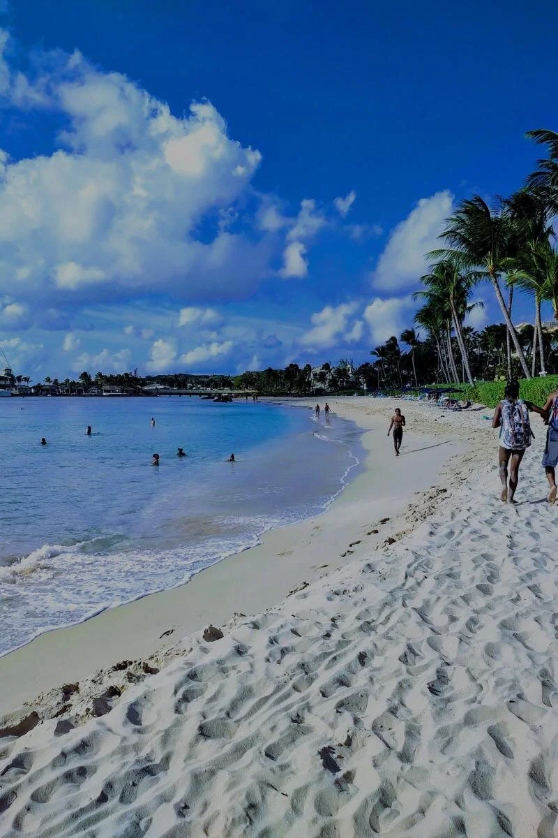 CIIC Expands Caribbean Presence with WCG Consulting