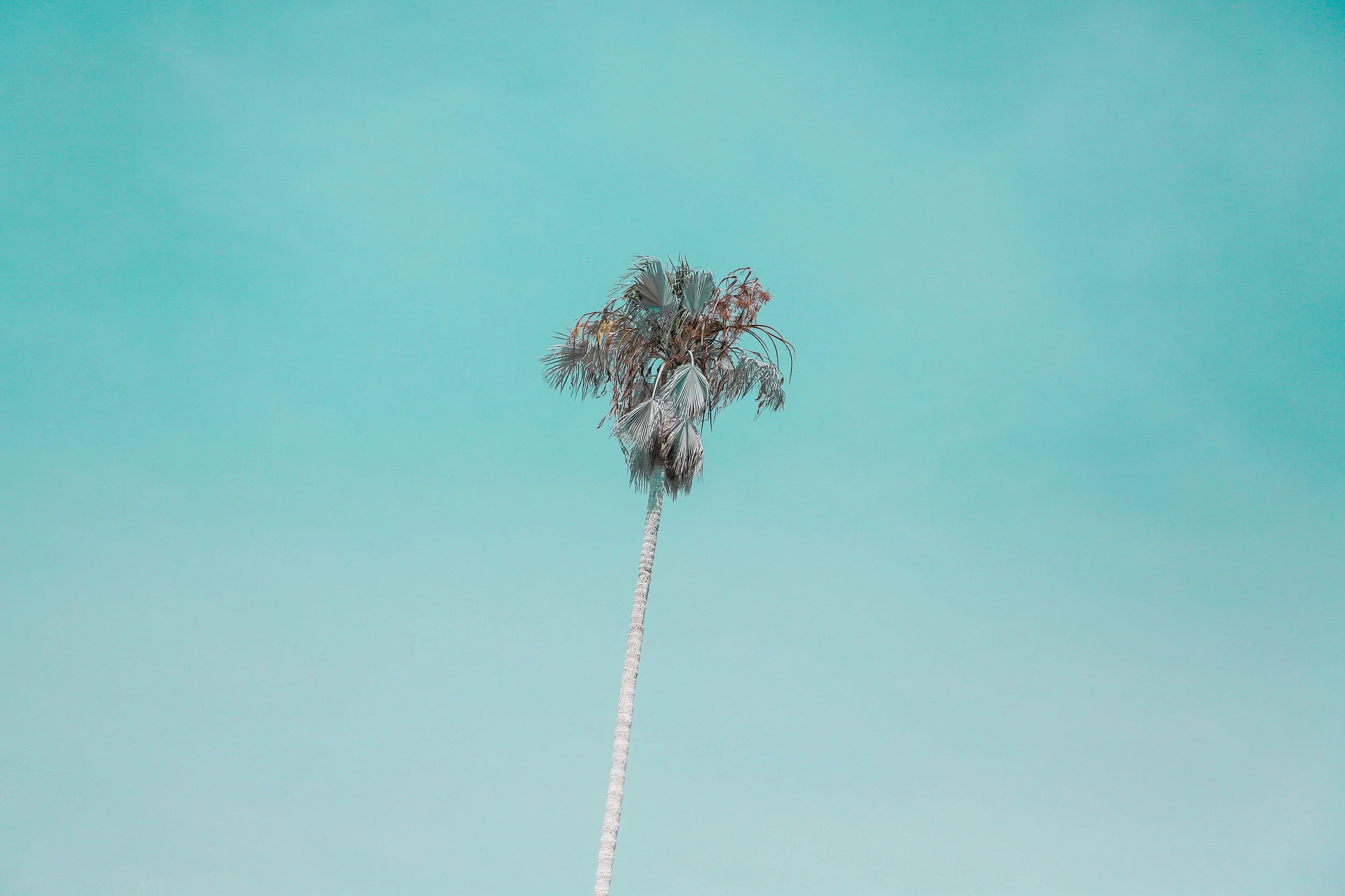 untitled-57-5.jpg