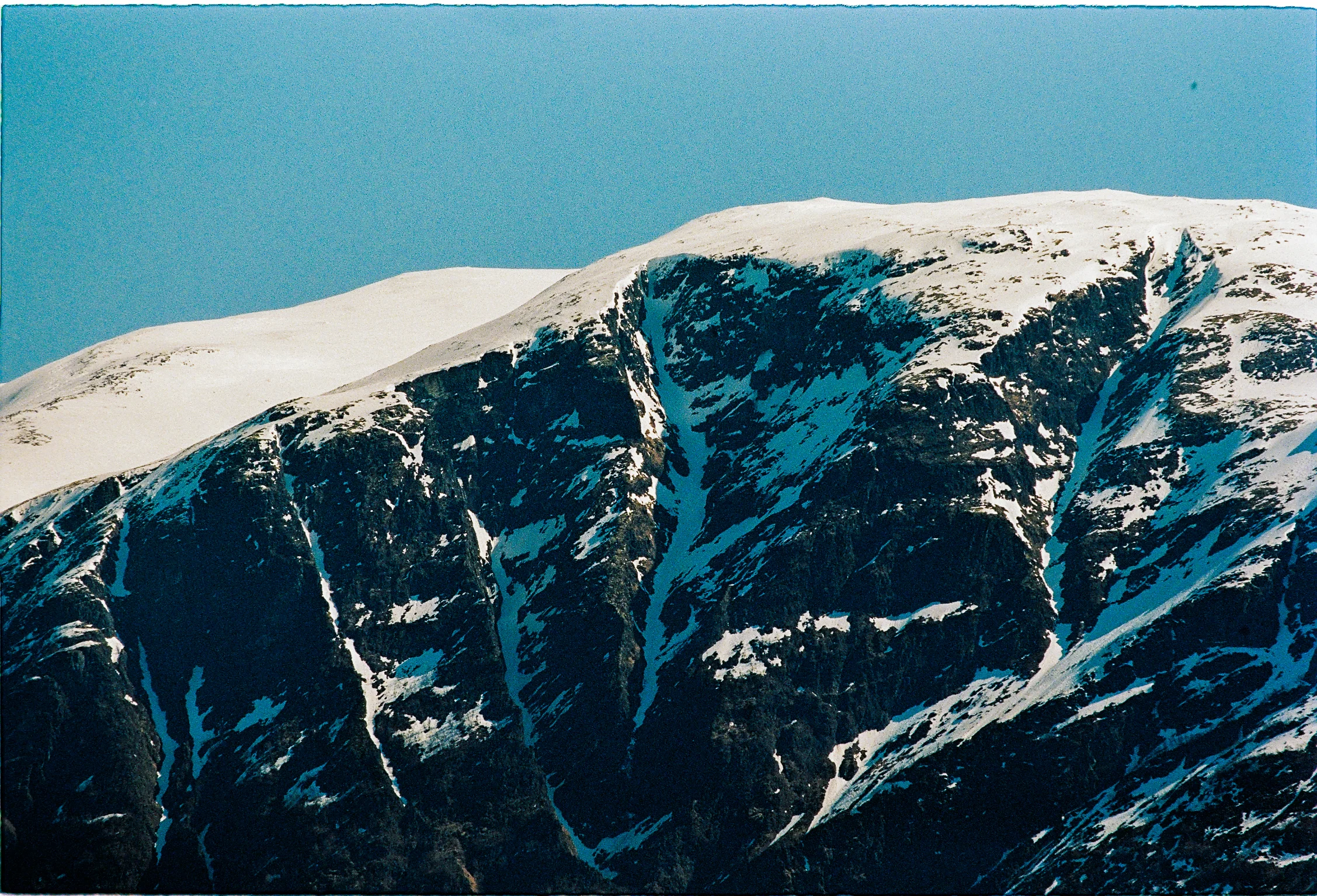 nyusoph-1.jpg