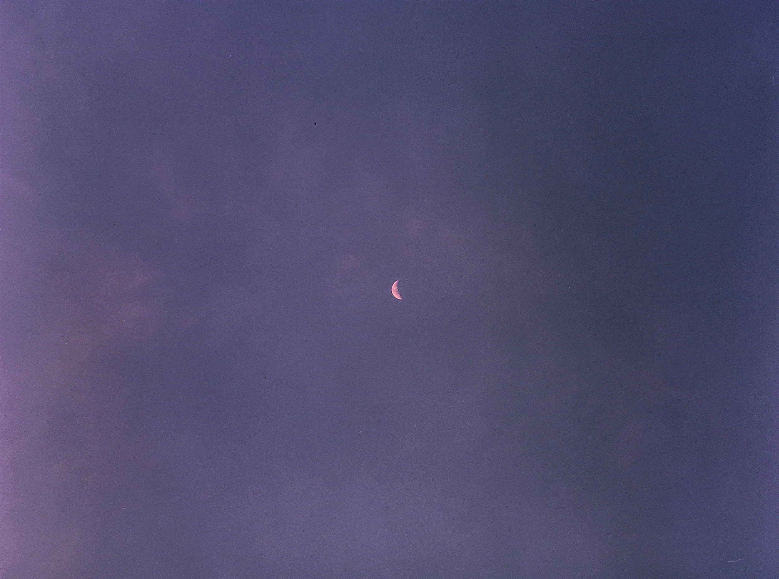 ---_0878.jpg
