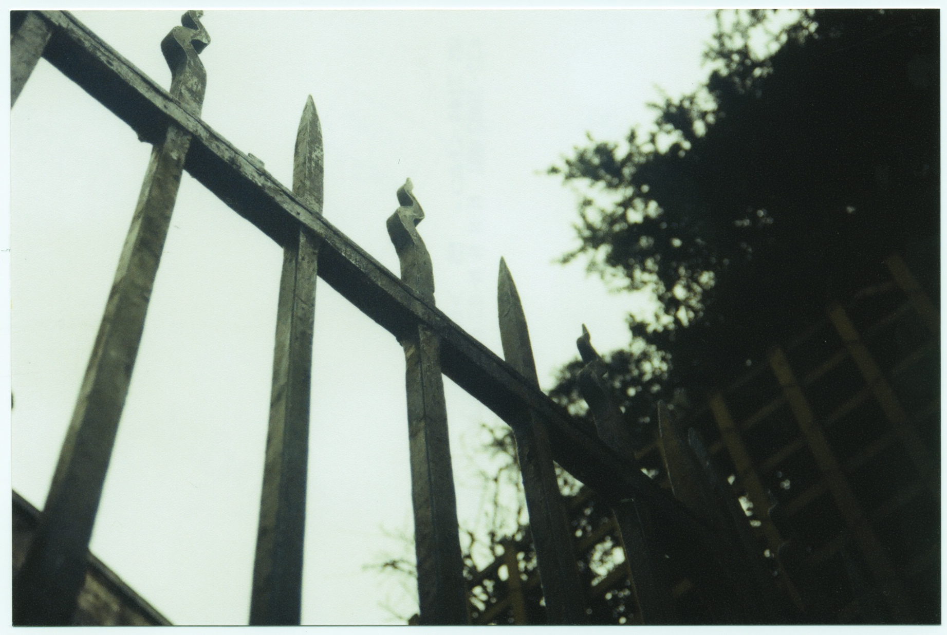 Scan 53_2.jpeg