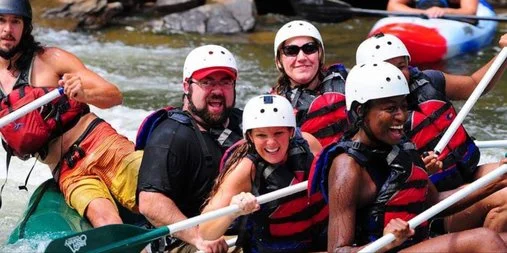Jeff Green & Team at Green Thoughts Consulting