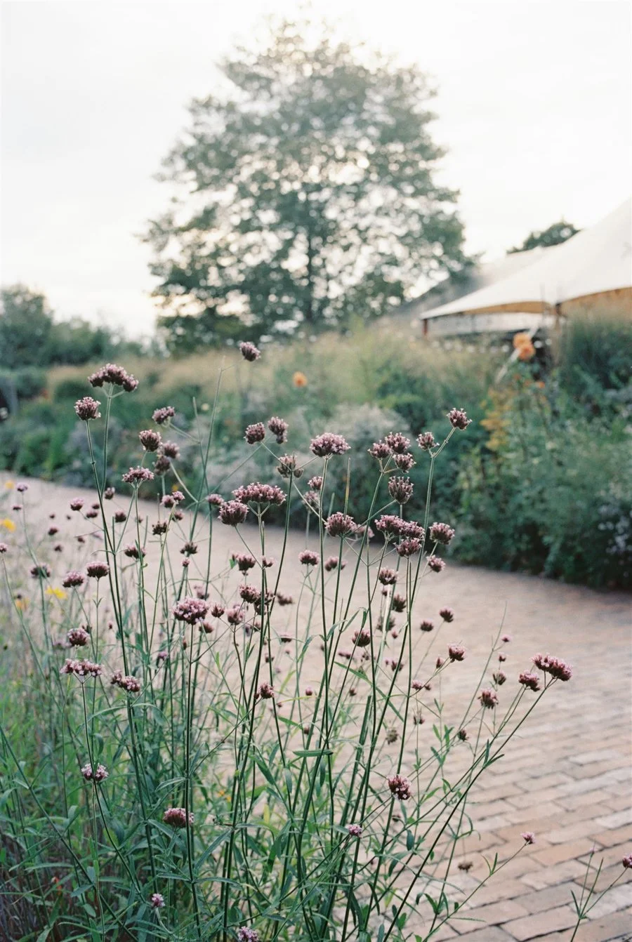blue-hill-at-stone-barns-wedding-ceremony-15.jpg