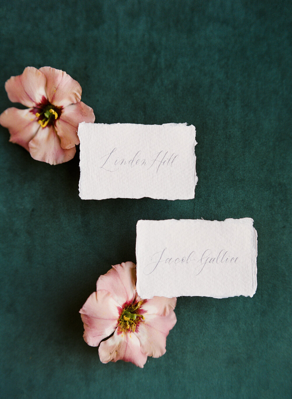 Blue Hill at Stone Barns wedding deckled paper place cards hand calligraphy