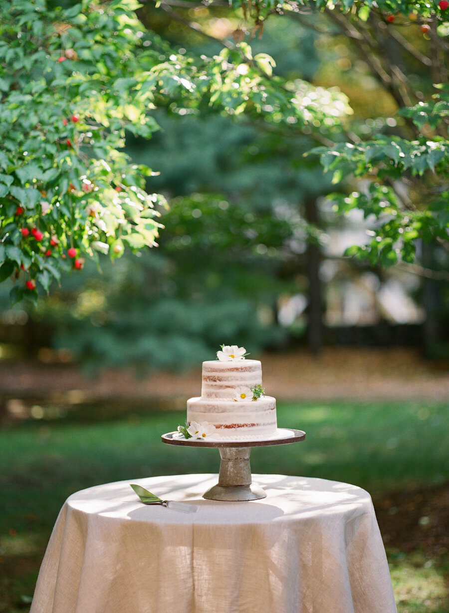 micro wedding cake naked with flowers