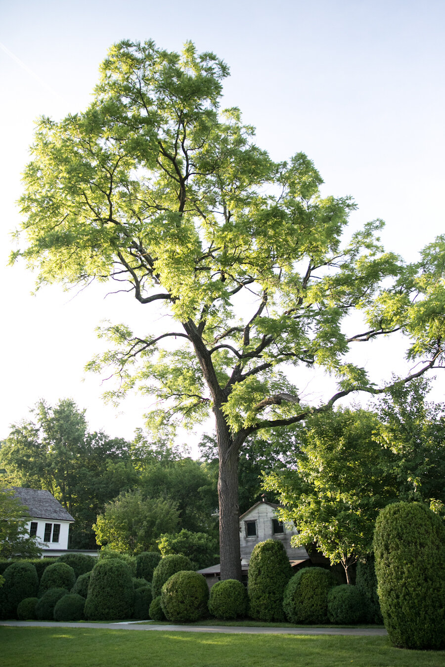 Valley Rock Inn wedding