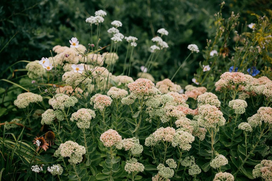 blue-hill-at-stone-barns-wedding-fall-flowers.jpg