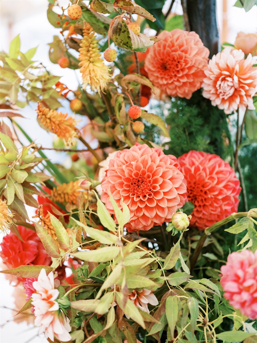 orange-dahlia.jpg