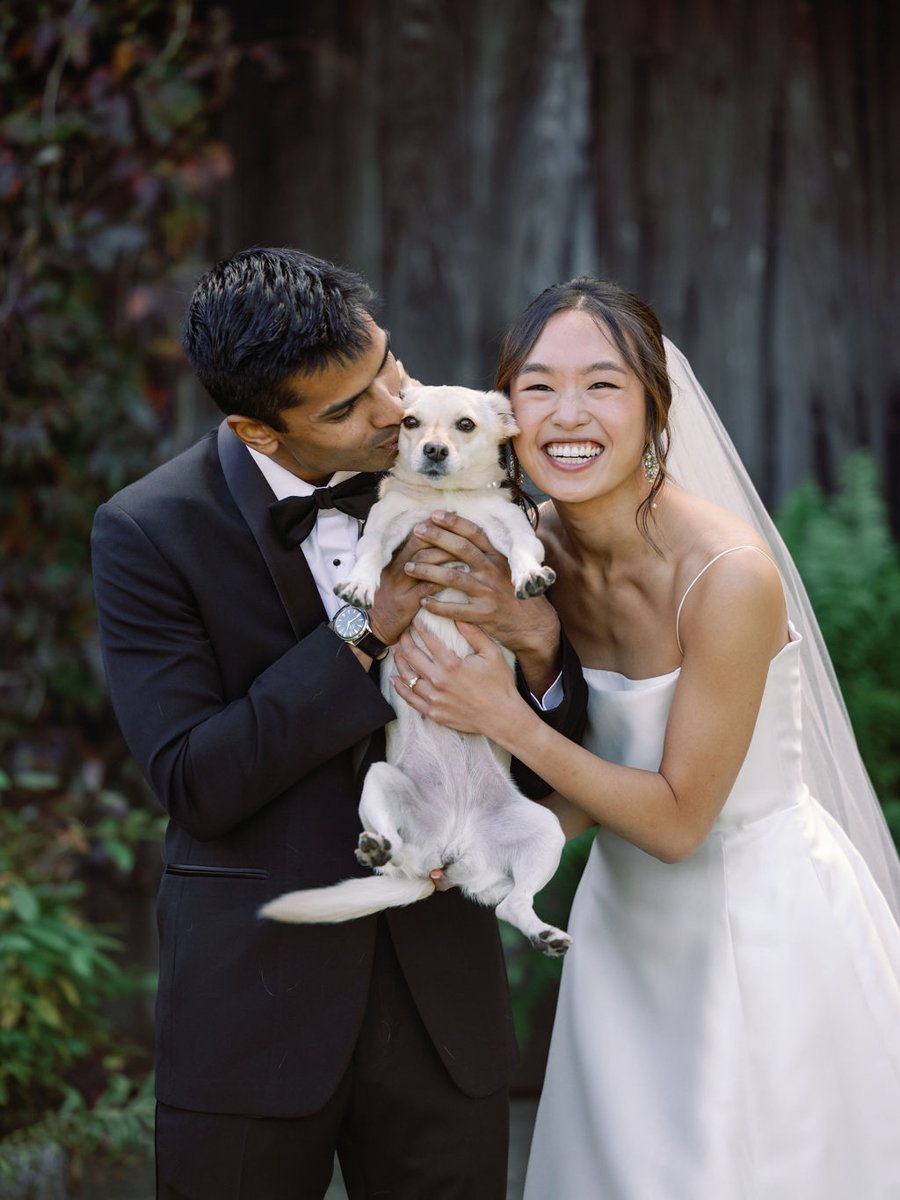 blue-hill-at-stone-barns-wedding-puppy.jpg