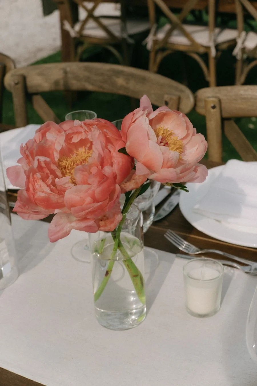 peonies.jpg