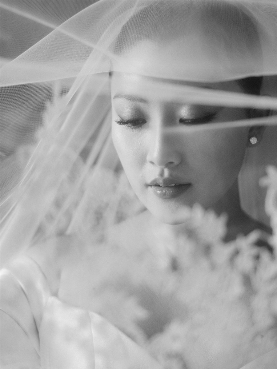 bride-portrait-veil.jpg