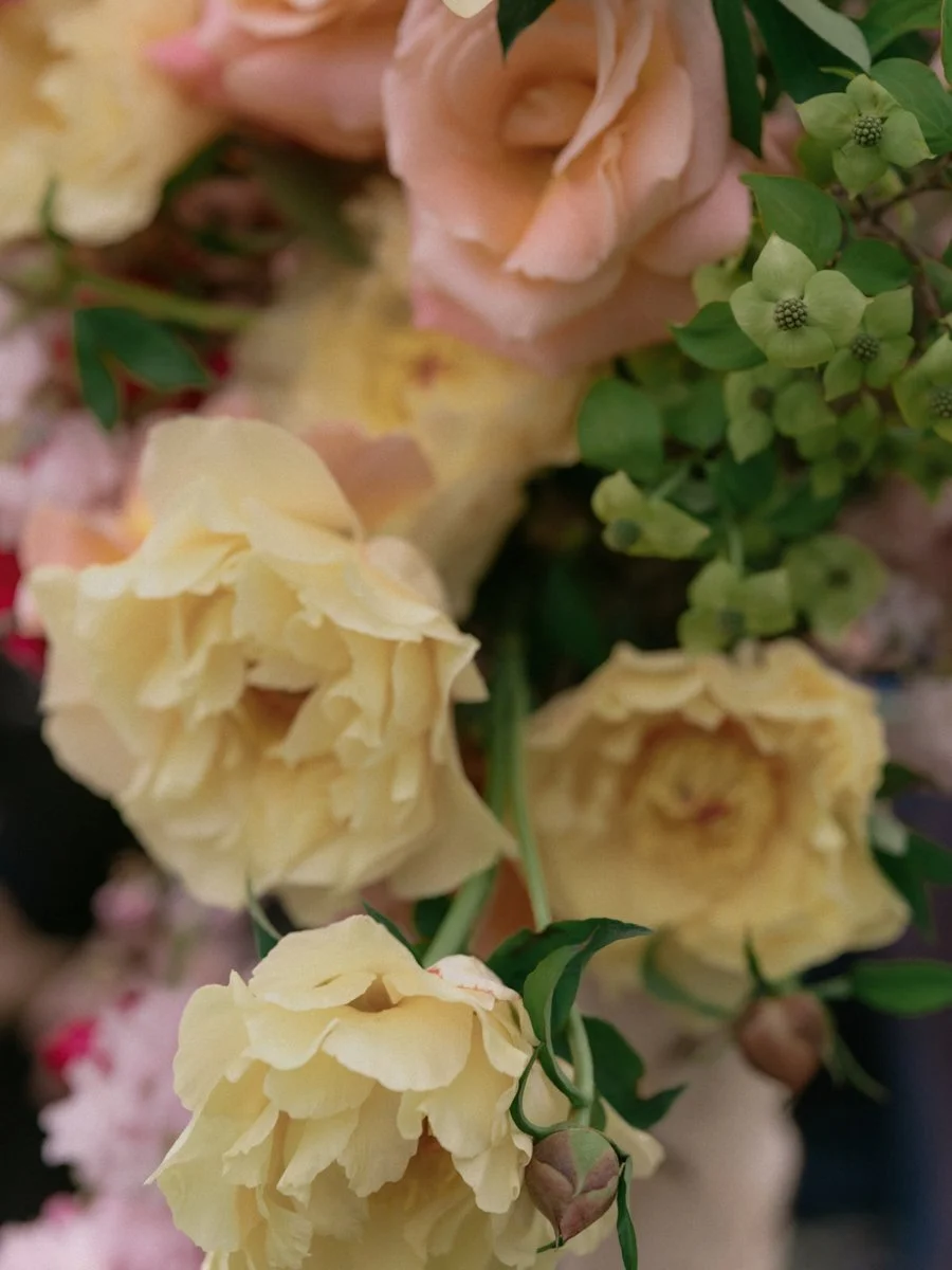 yellow-peonies.jpg