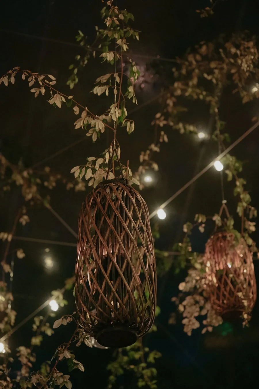 lanterns-night.jpg