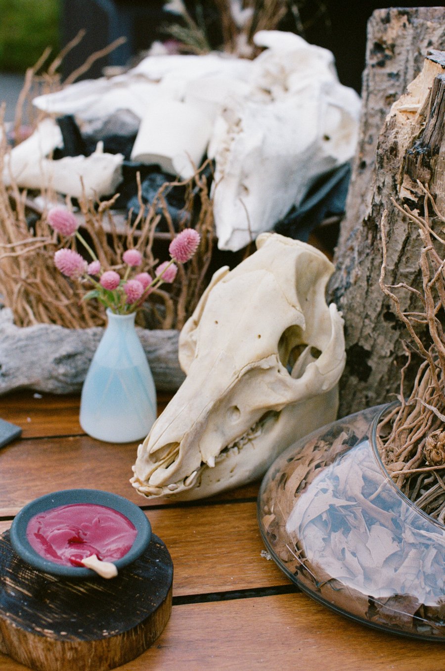 blue-hill-at-stone-barns-wedding-cocktails-13.jpg