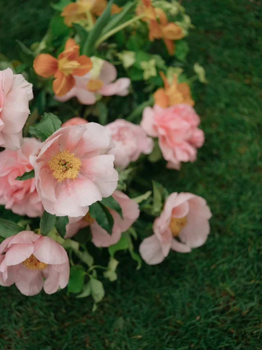 peonies.jpg