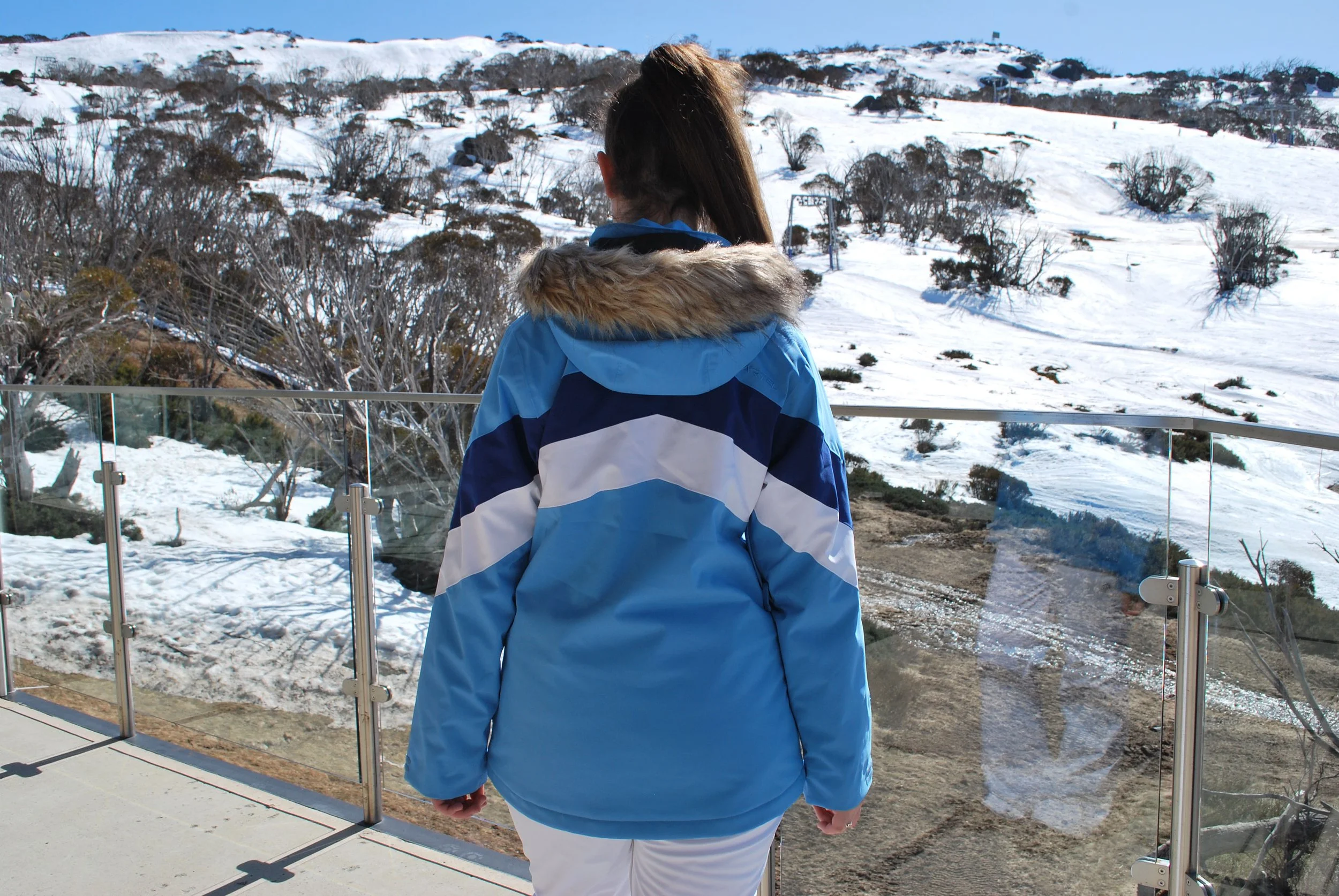 Cartel W Madison Malibu back.JPG