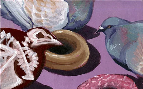 thesis_pigeon_02_WEB.jpg