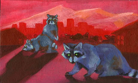 thesis_raccoon_02_WEB.jpg