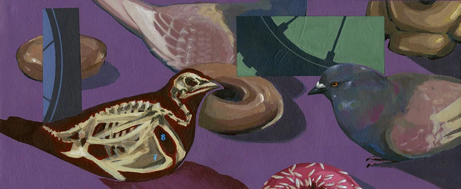 from 2016 series Eat Trash Be Free depicting urban wildlife