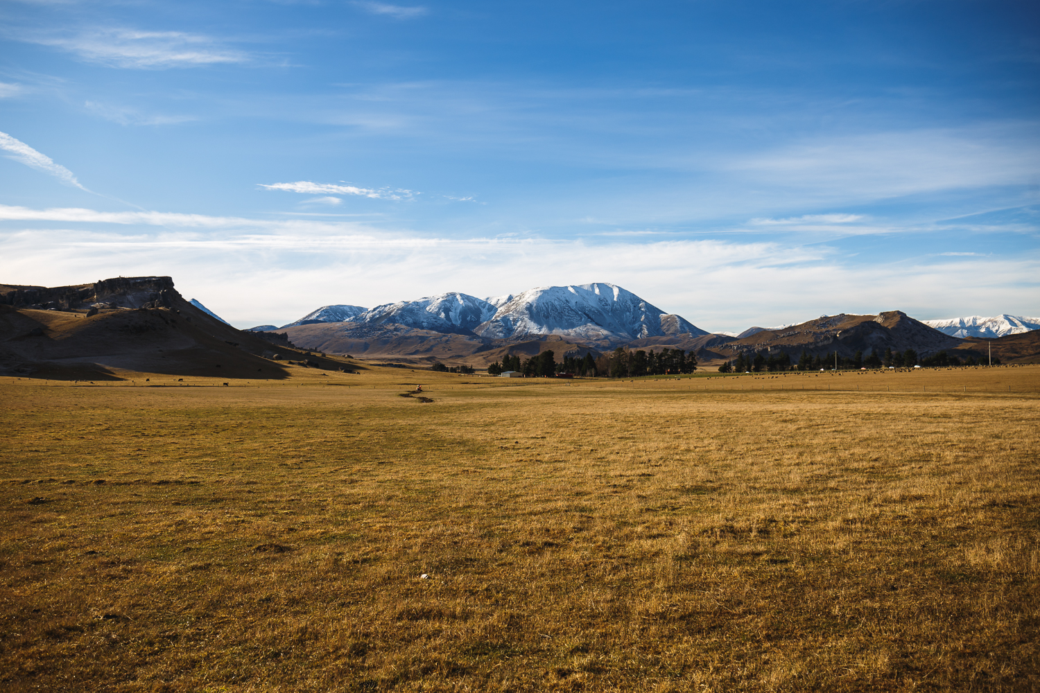 Castle Hill