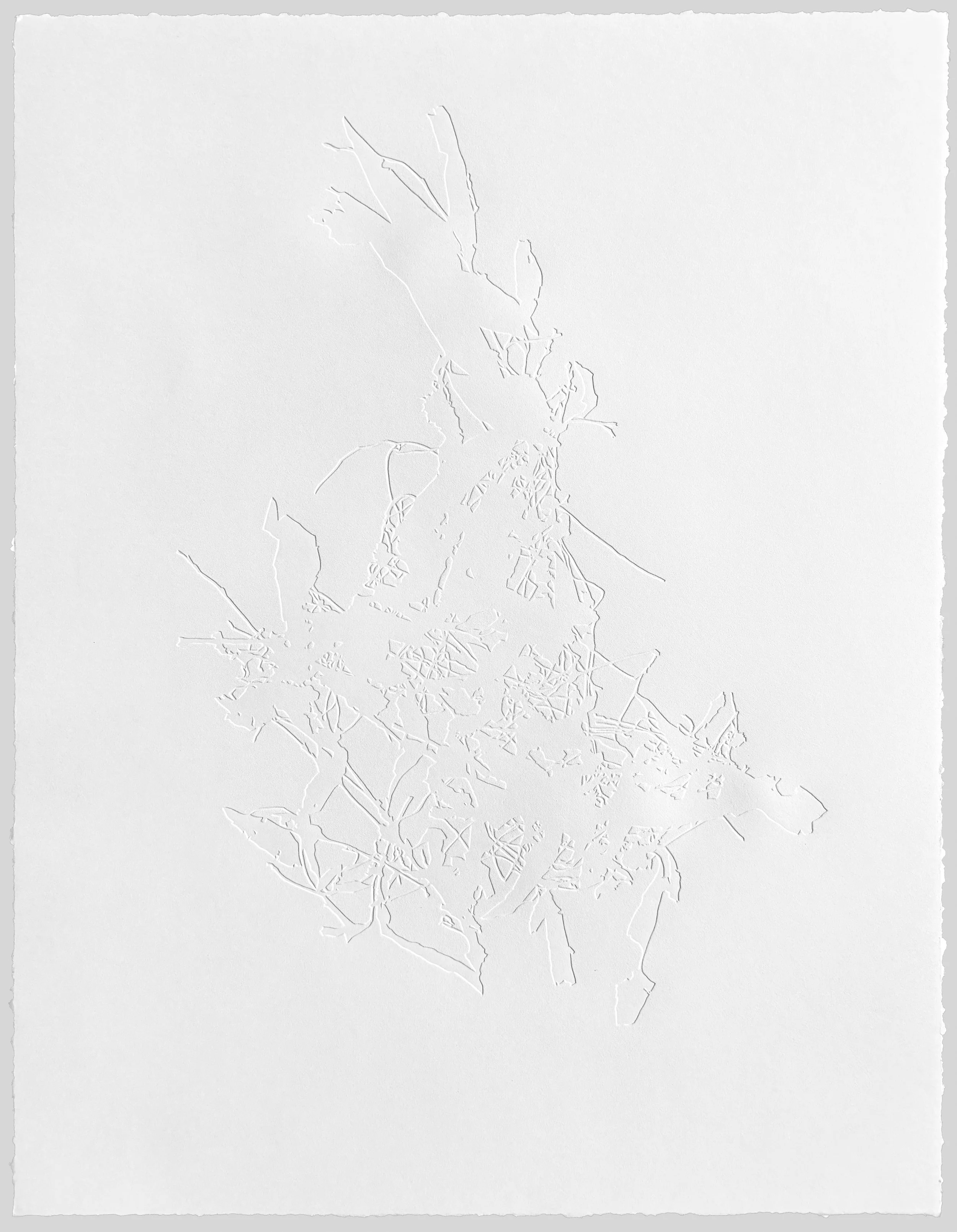 Cuscuta obtusiflora, SH.jpg