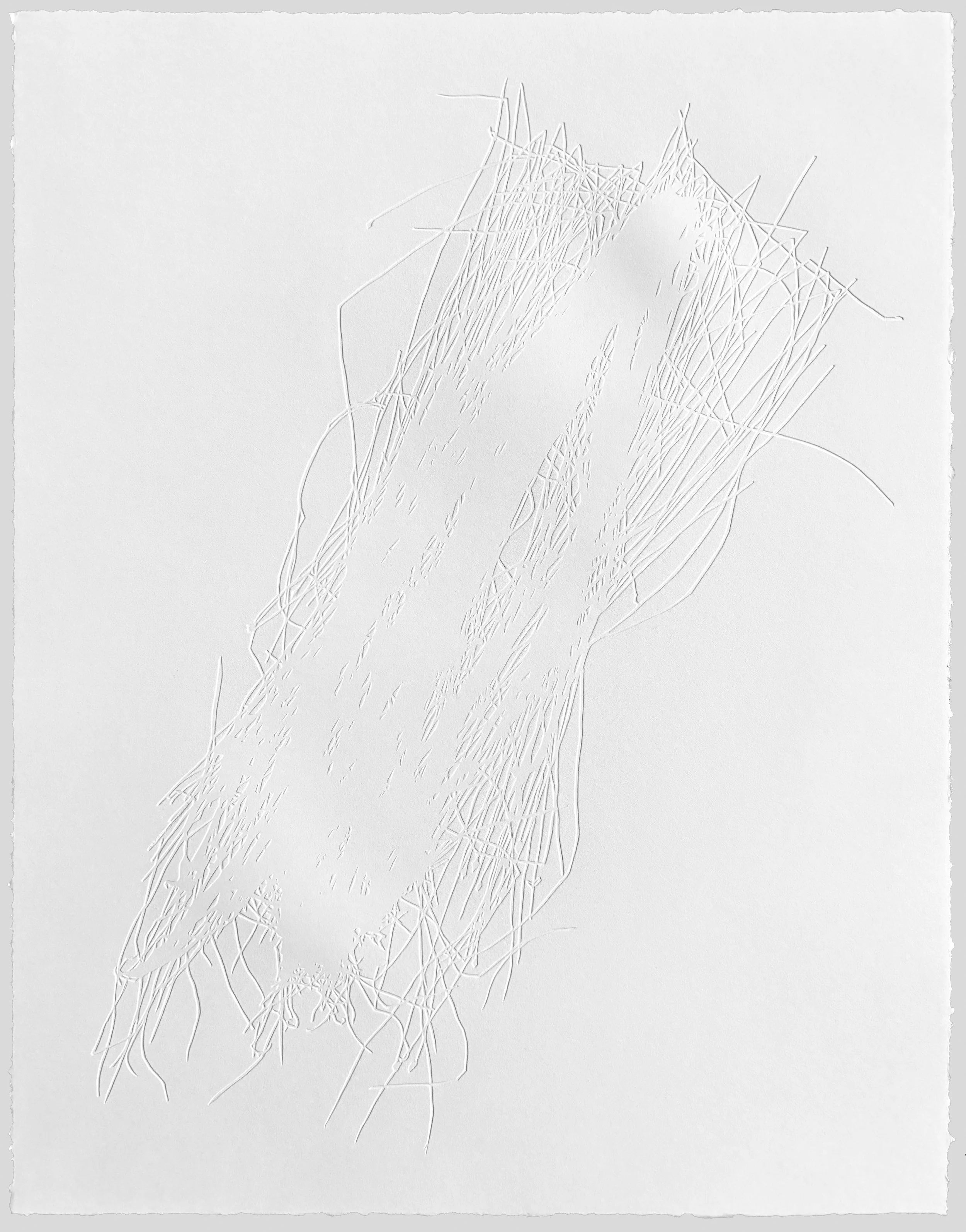 Eleocharis tortilis, SX.jpg