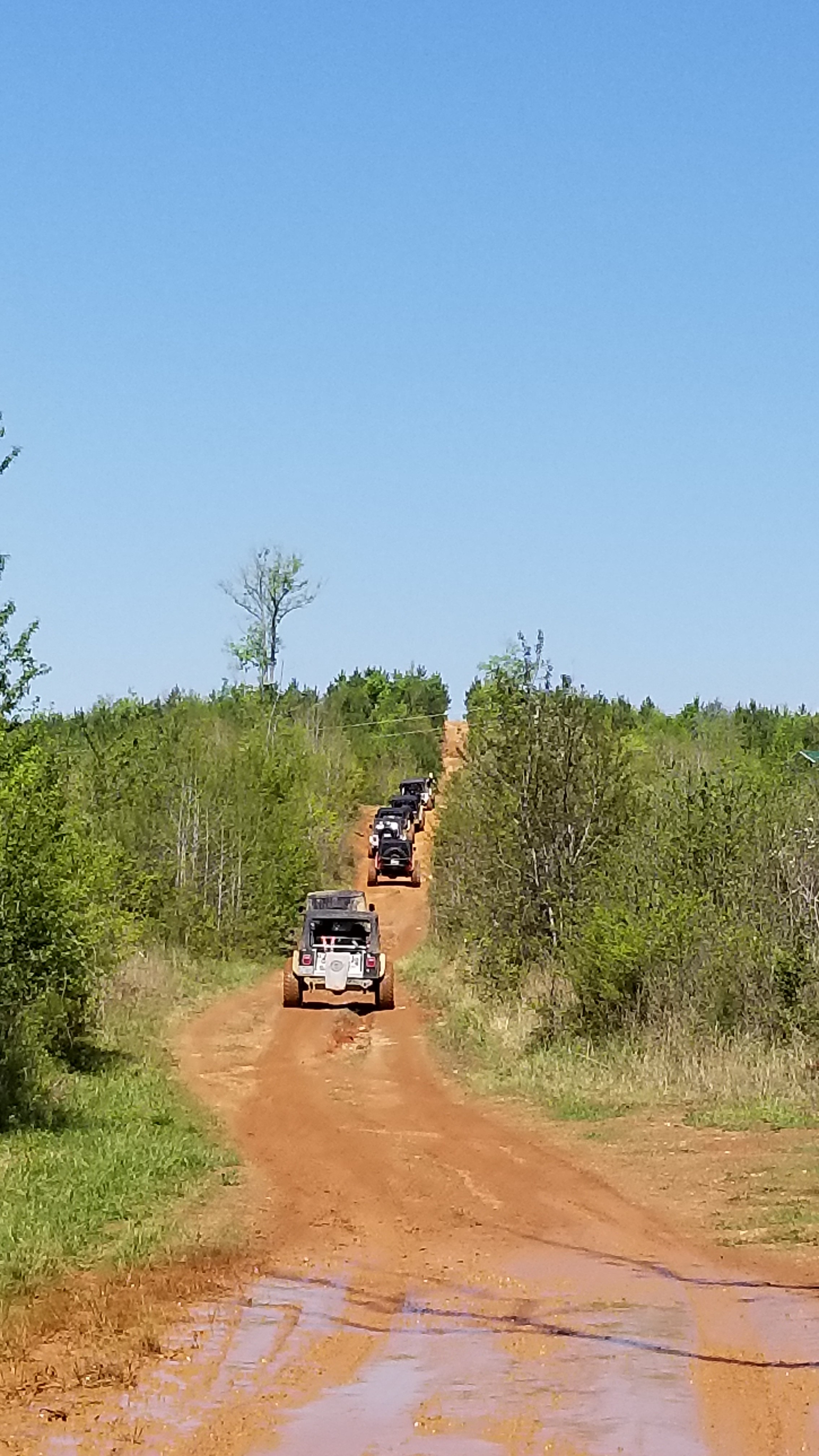 20180428_105616.jpg