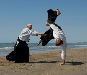 Aikido, arte marcial ou medicinal.jpg