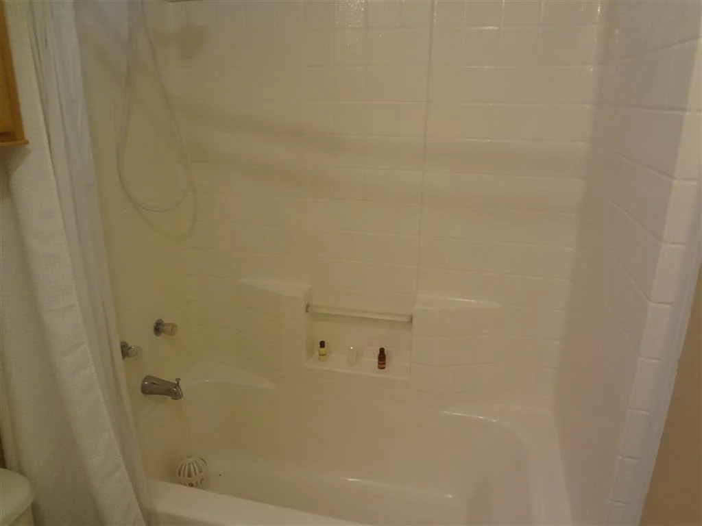 Guest Bath.JPG