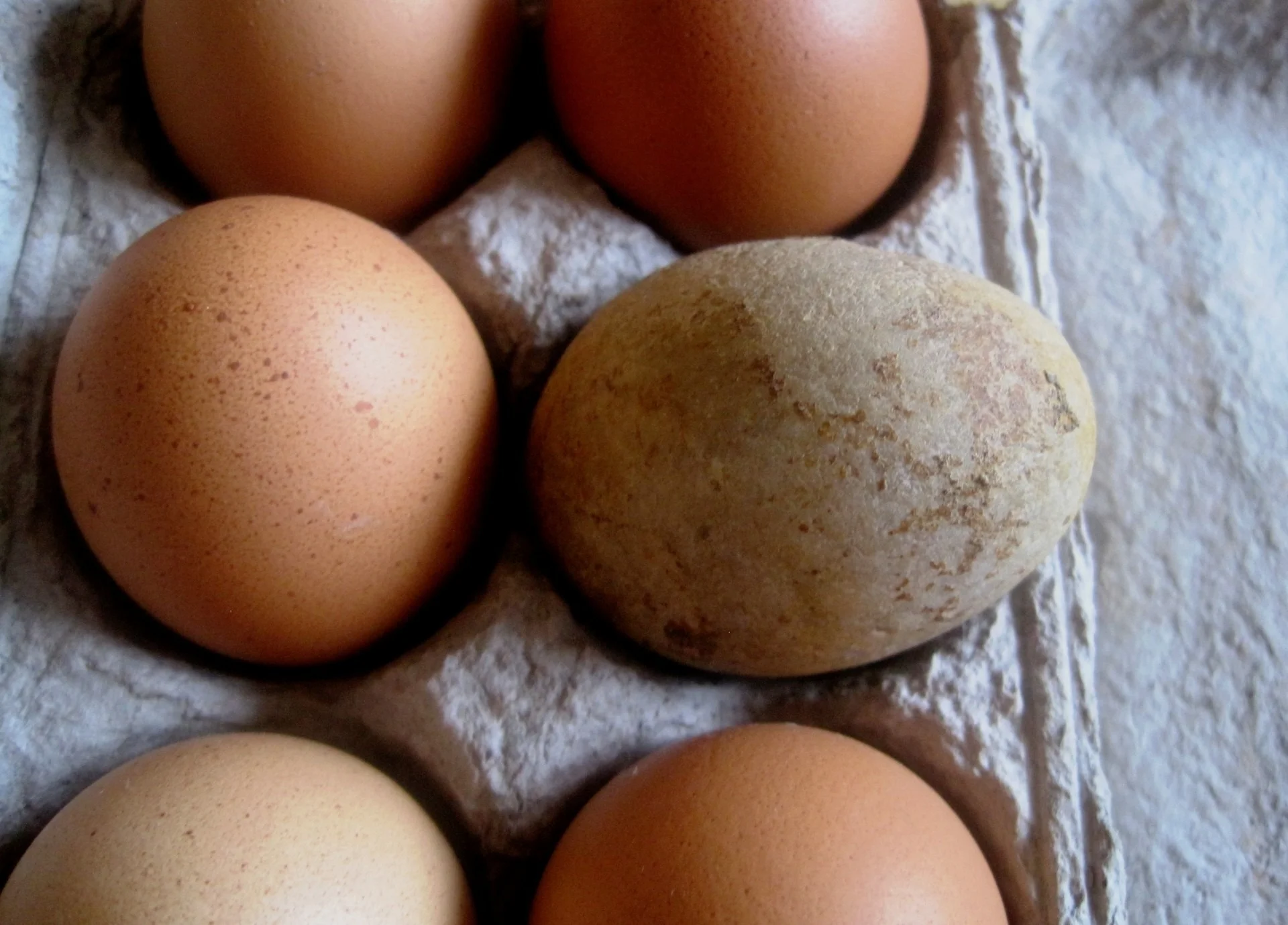 eggs-314762.jpg