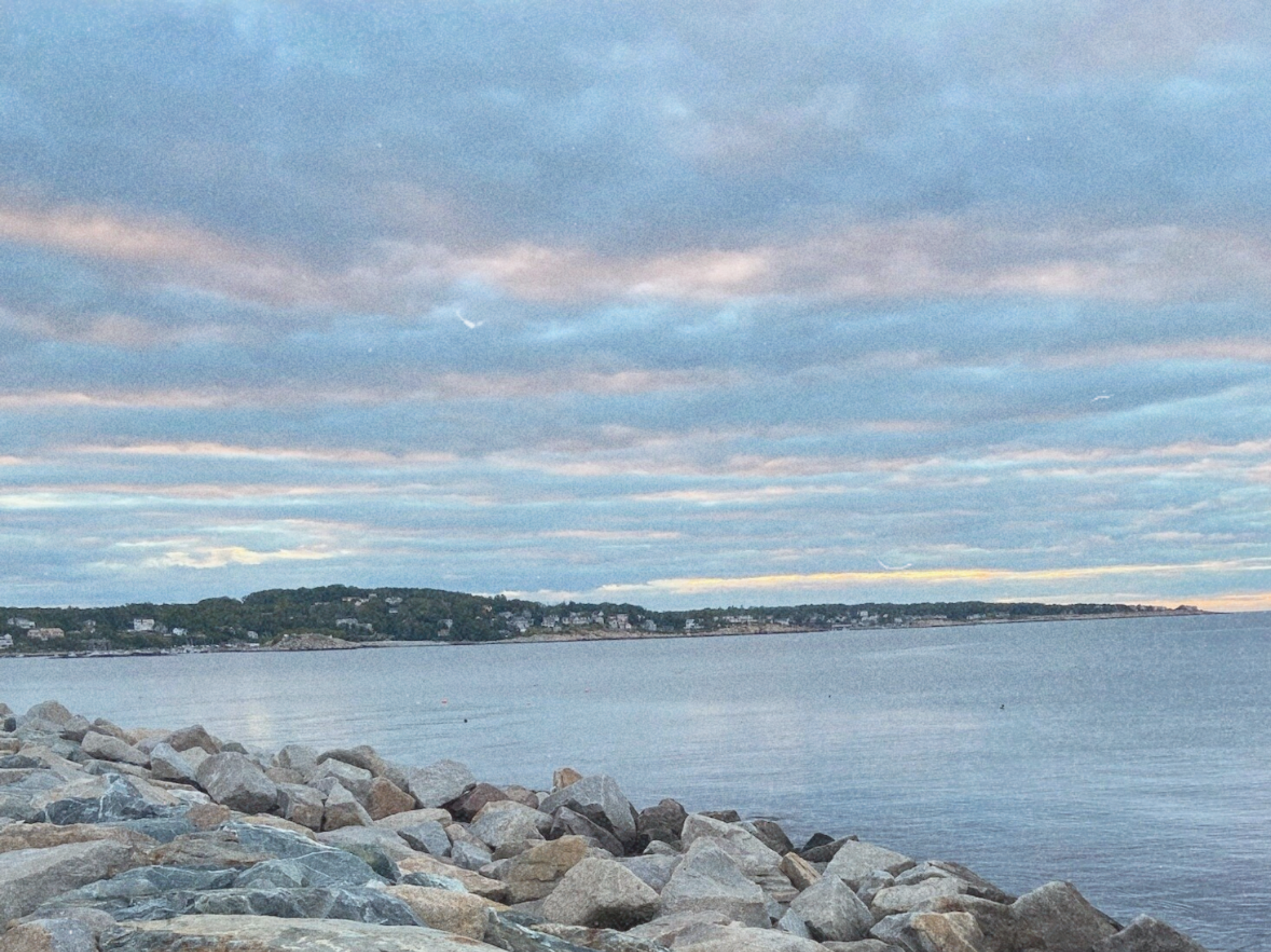 DOWN TO EARTH (1).png