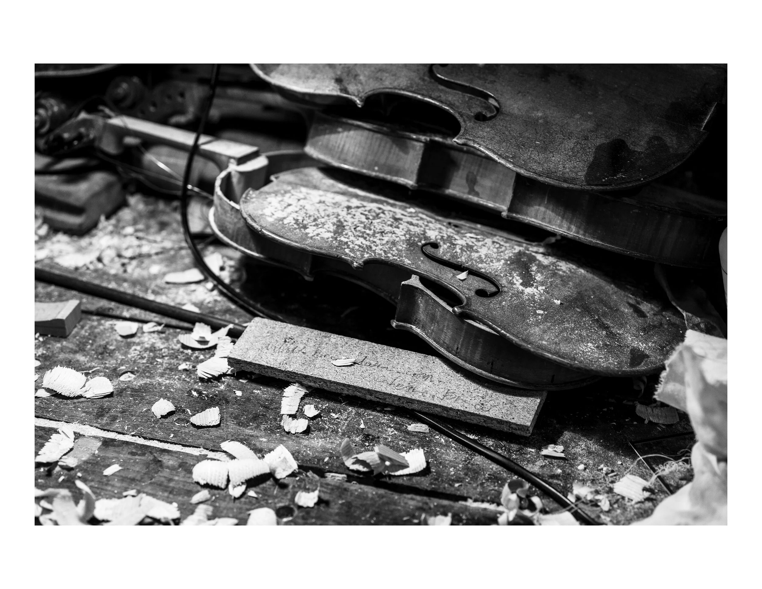 Destroyviolon.jpg