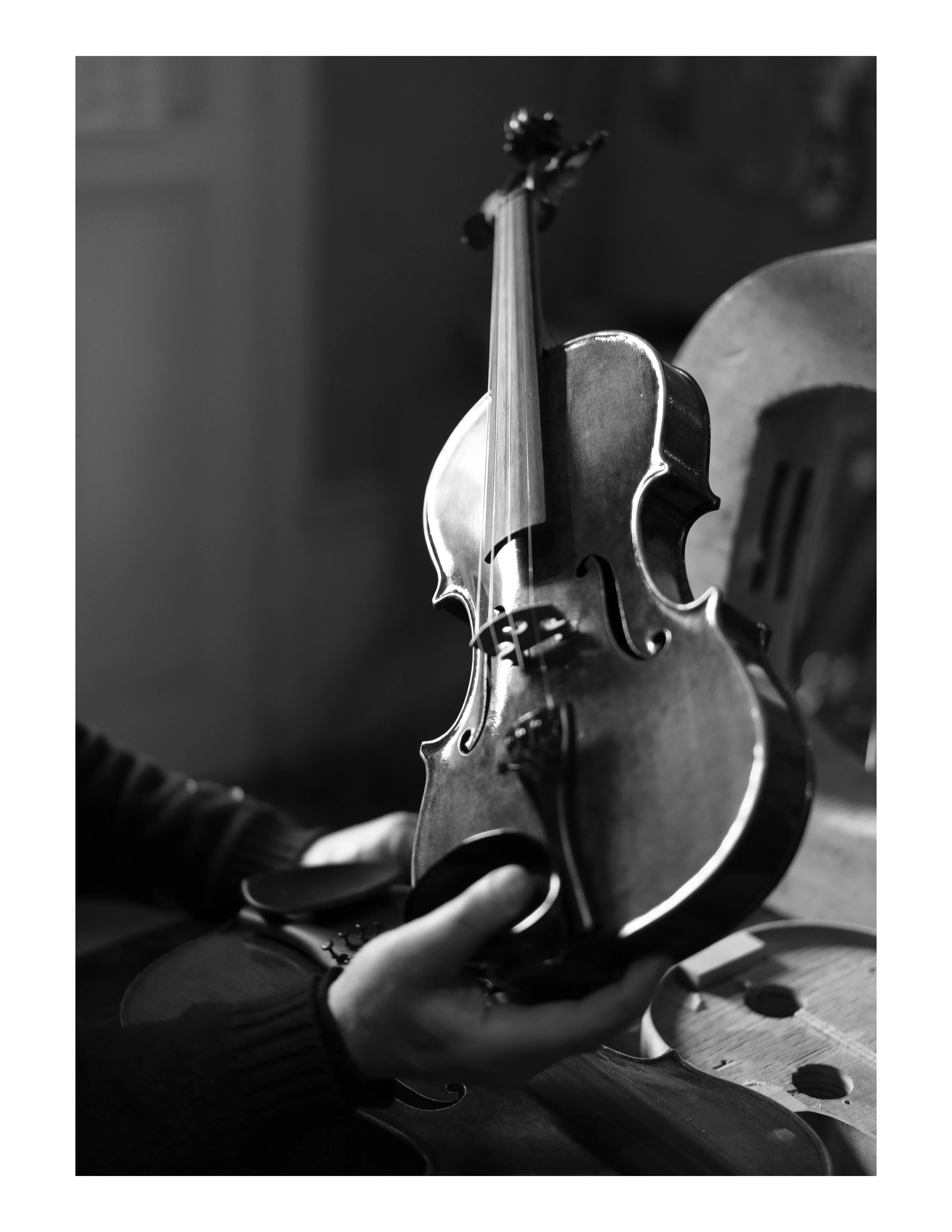 Presentation violon.jpg