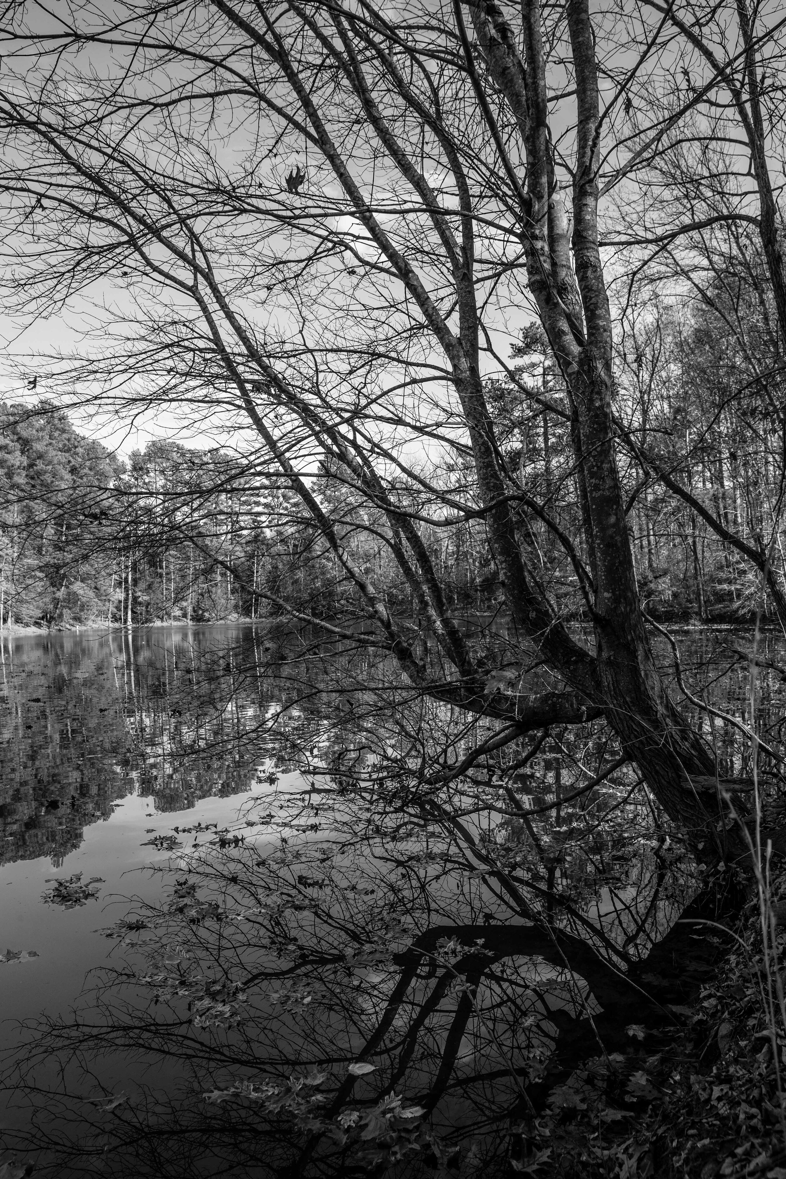 N Carolina-8.jpg