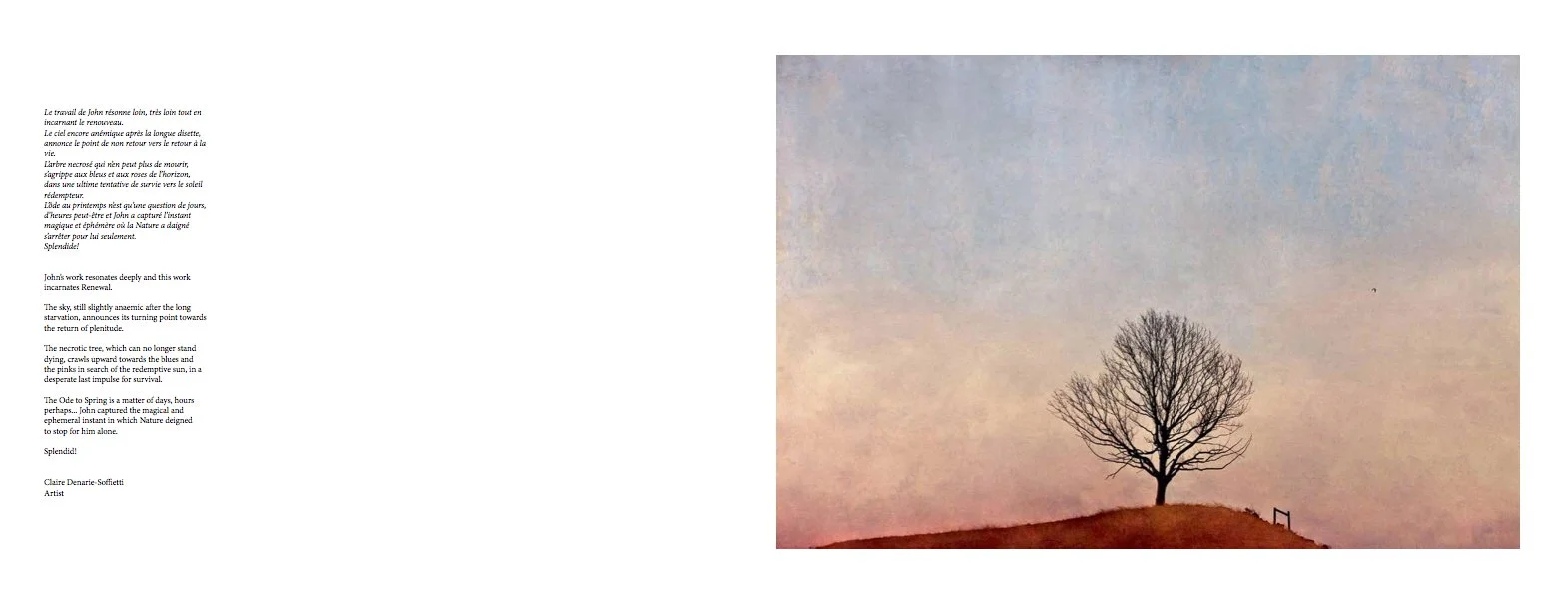 Selected Works - Prelude to Spring.jpg