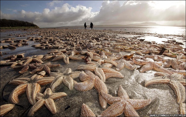Are refugees like starfish, washed upon the shore?
