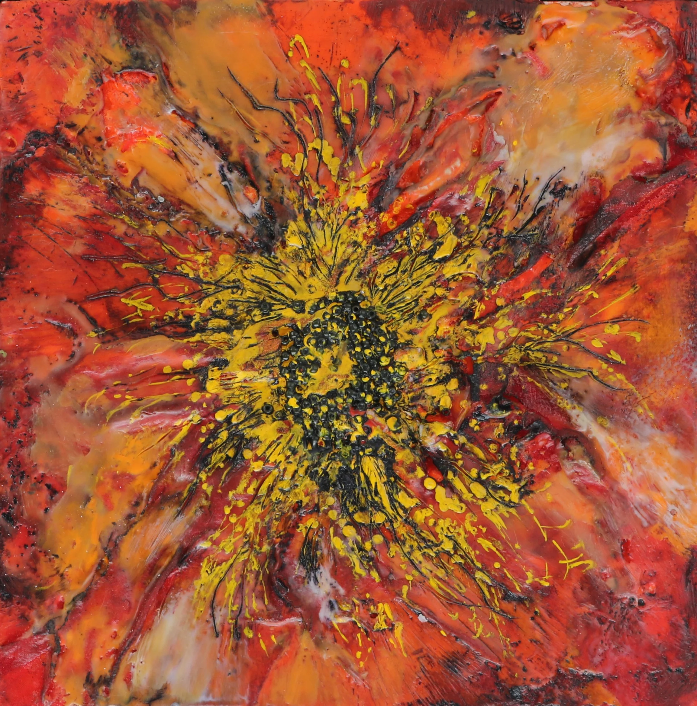 Scarlet Poppy6x6.jpg