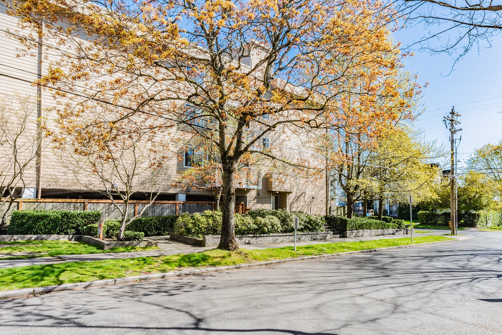 Park Royal Apartments, Cherry Hill, Seattle