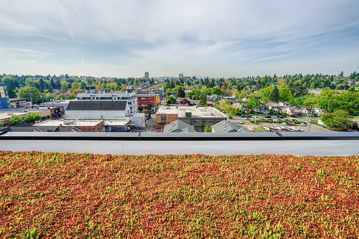 6404 Roosevelt Apartments — Cornell and Associates