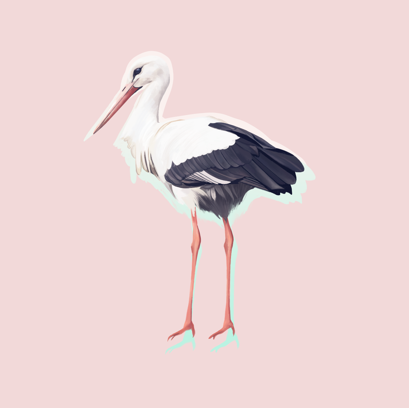 Stork Illustration